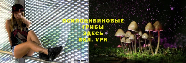 Альфа ПВП Бугульма