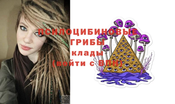 кокс Бородино