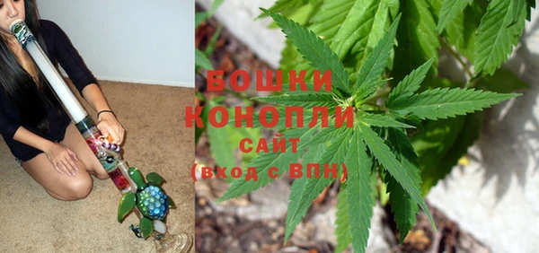 ешки Бронницы