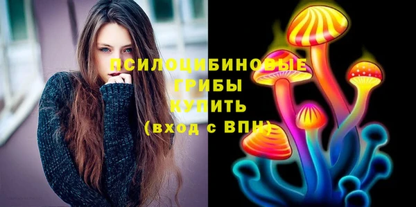 кокс Бородино