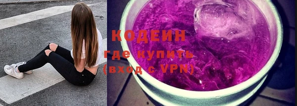 дживик Богородицк