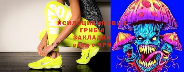 кокс Бородино
