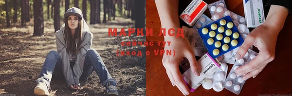 ешки Бронницы