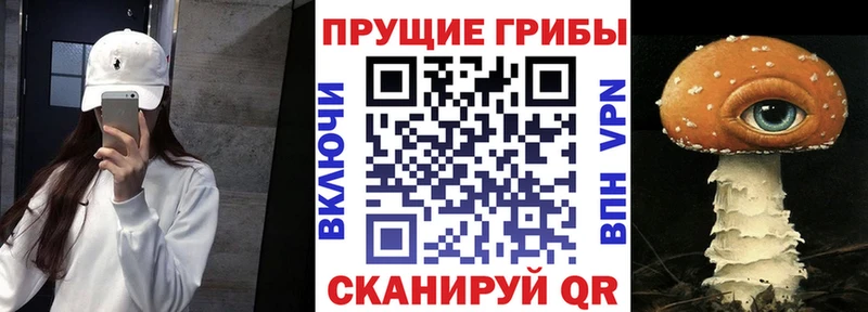 Псилоцибиновые грибы GOLDEN TEACHER  Кондрово 